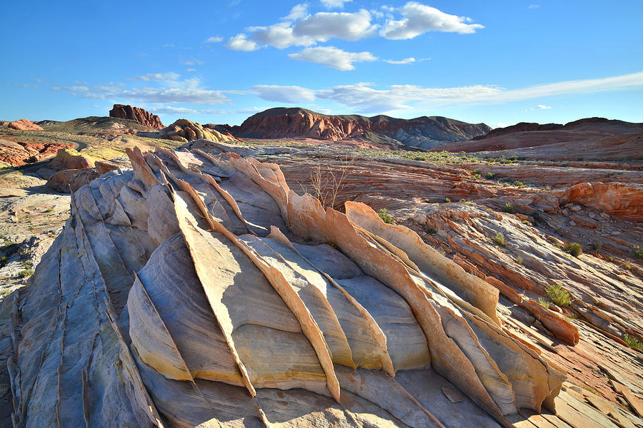 Valley of Fire #491 Photograph by Ray Mathis
