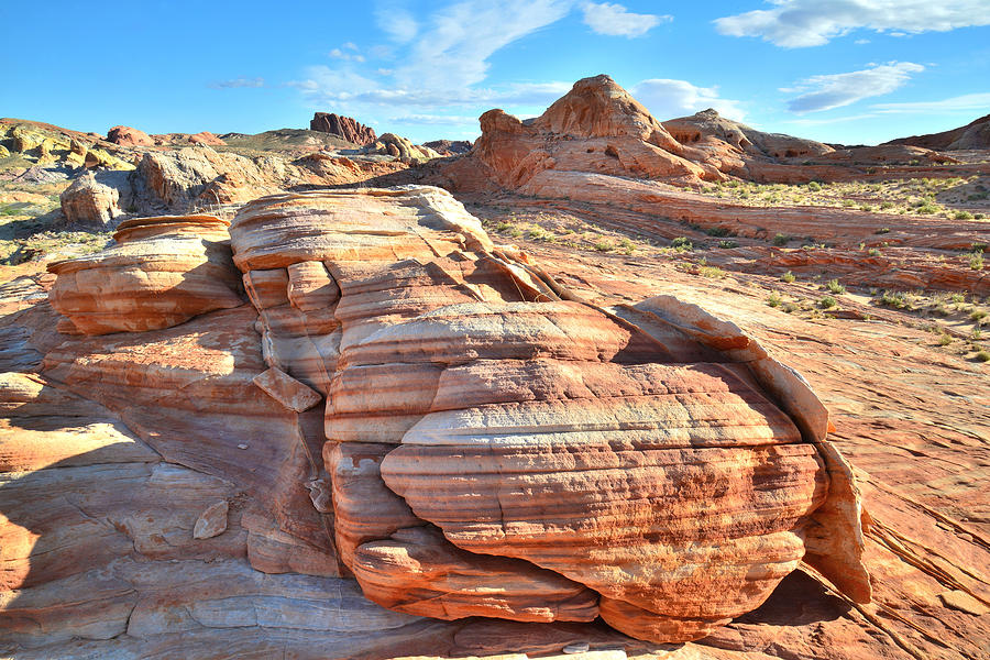 Valley of Fire #530 Photograph by Ray Mathis