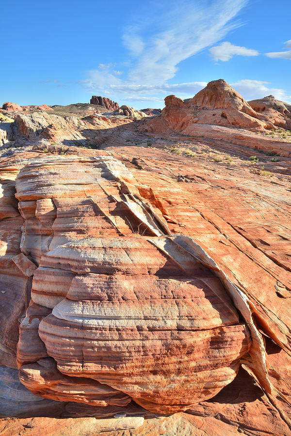 Valley of Fire #466 Photograph by Ray Mathis