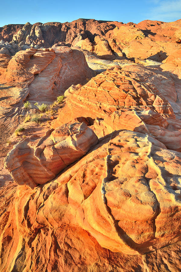 Valley of Fire #404 Photograph by Ray Mathis