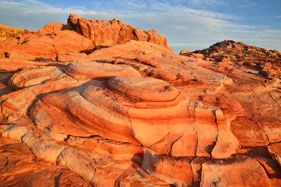 Valley of Fire #473 Photograph by Ray Mathis
