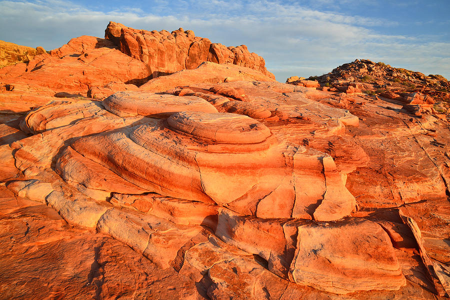 Valley of Fire #486 Photograph by Ray Mathis
