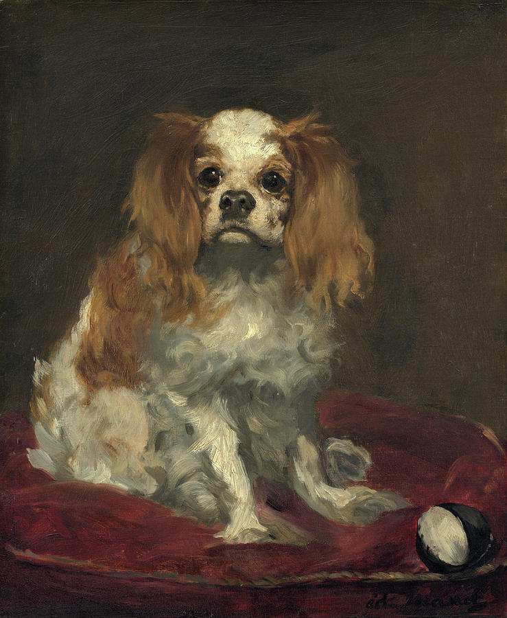 A King Charles Spaniel #5 Painting by Edouard Manet