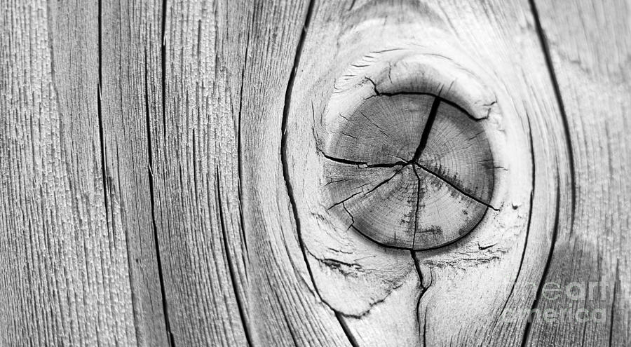 Abstract Wood Panel Knot #5 Photograph by ELITE IMAGE photography By Chad McDermott