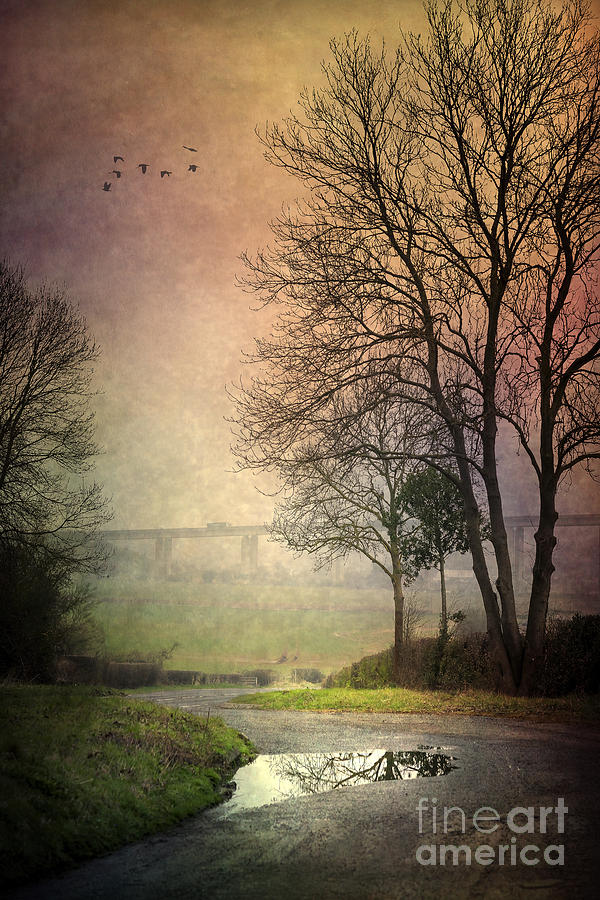 Nature Photograph - After Rain #5 by Svetlana Sewell