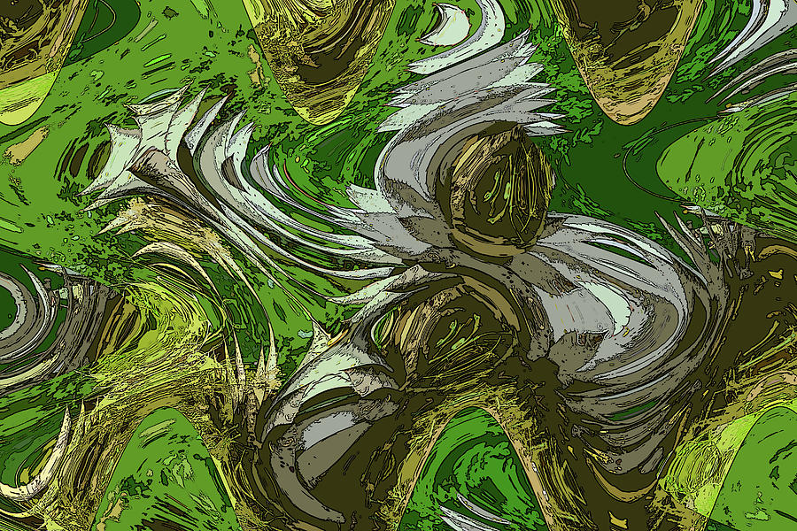 Agave Abstract #6 Digital Art by Tom Janca