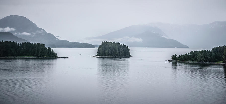 Alaska nature and mountain range with seascape in june #5 Photograph by Alex Grichenko