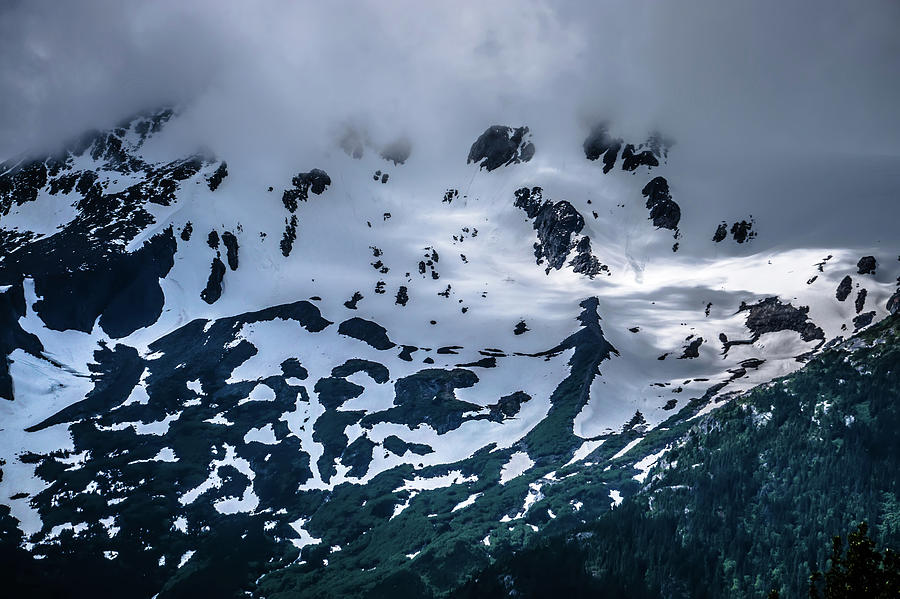Alaska Roky Mountains And Valley Of Glaciers #5 Photograph by Alex Grichenko