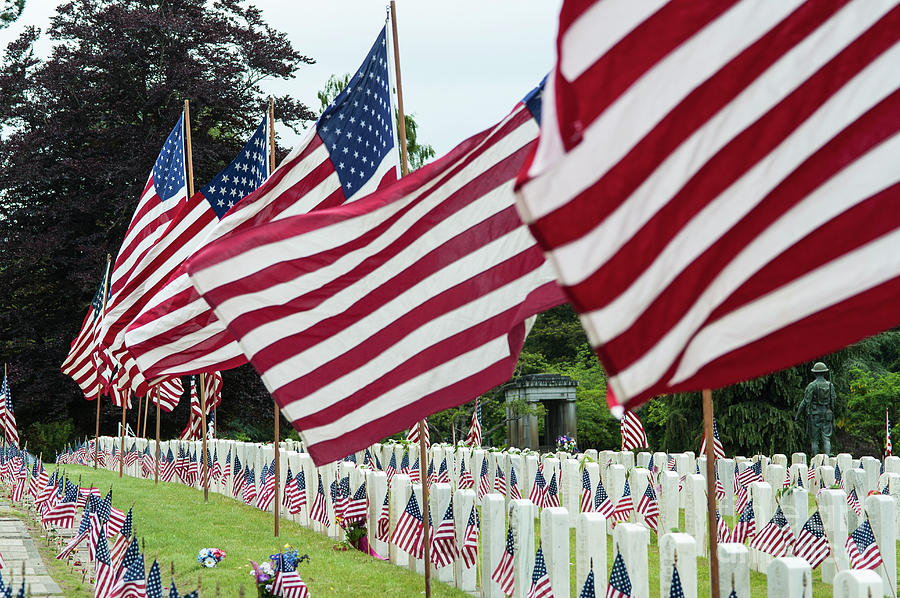 American Flags at Cemetery #5 Photograph by Jim Corwin