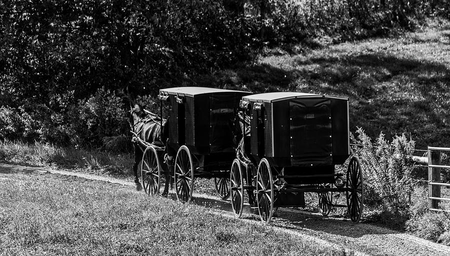Transportation Photograph - Amish Country #5 by Mountain Dreams