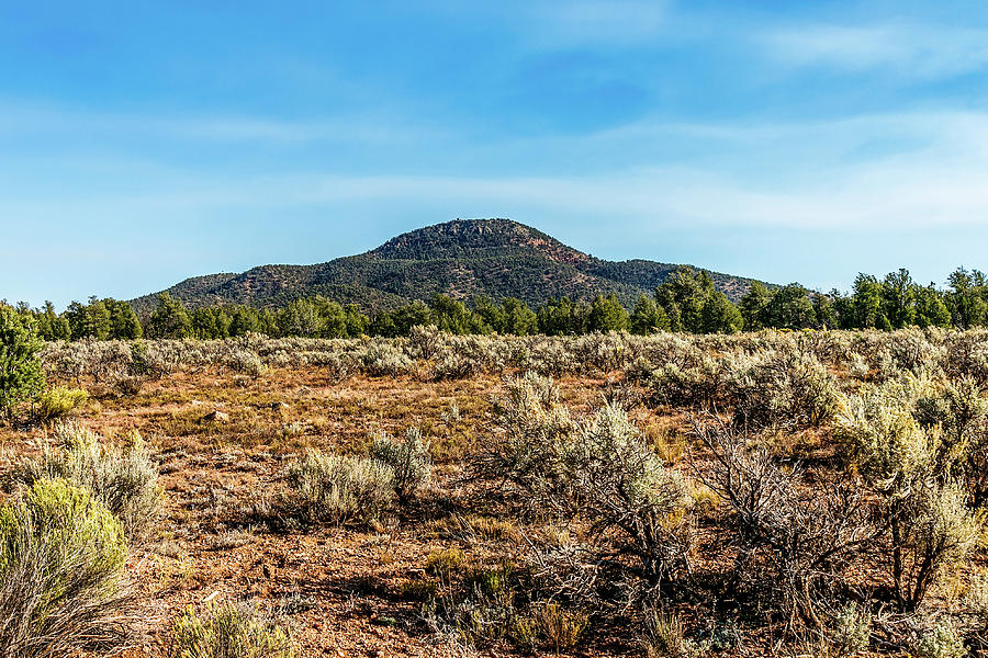 Arizona Landscape #5 Photograph by Doug Long