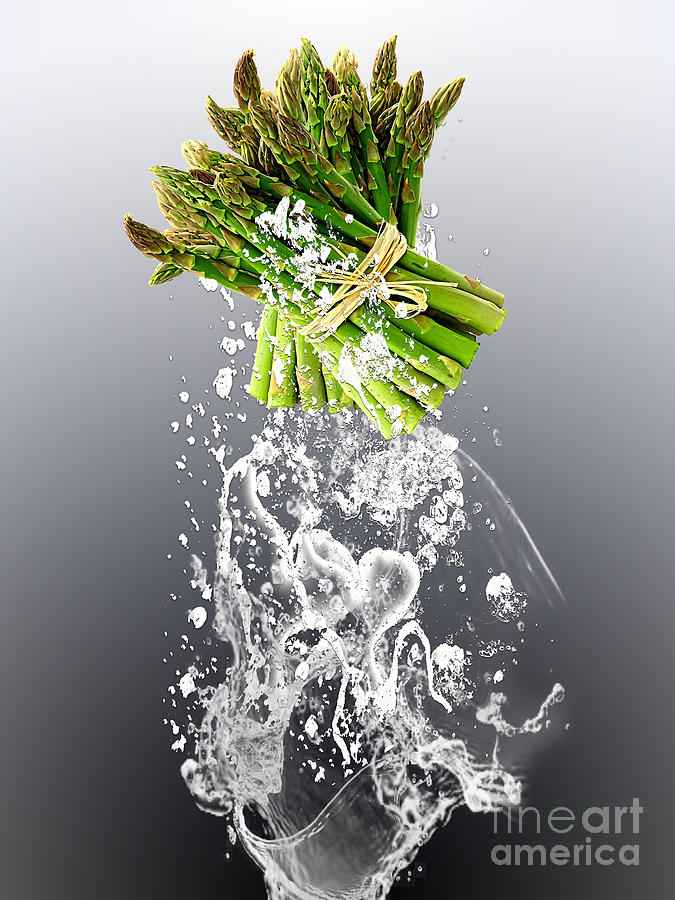 Vegetable Mixed Media - Asparagus Splash #5 by Marvin Blaine