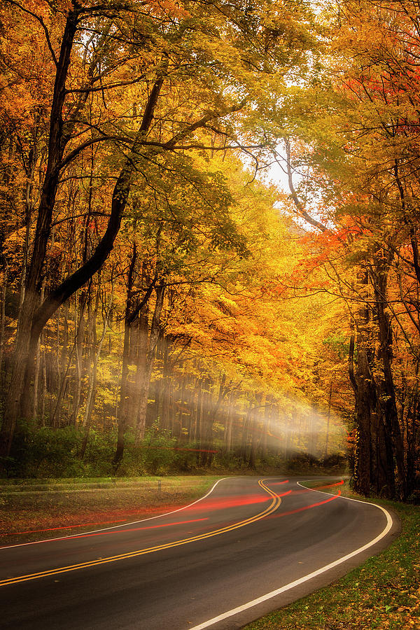 Autumn Drive Photograph
