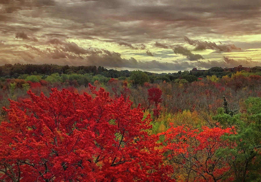 Autumn landscape #5 Photograph by Lilia S
