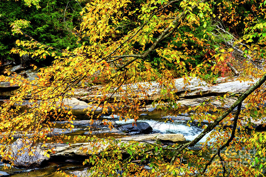 Autumn Middle Fork River #5 Photograph by Thomas R Fletcher