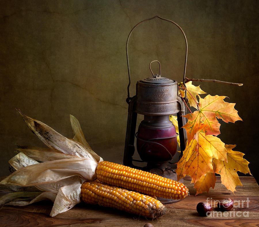 Thanksgiving Photograph - Autumn #5 by Nailia Schwarz