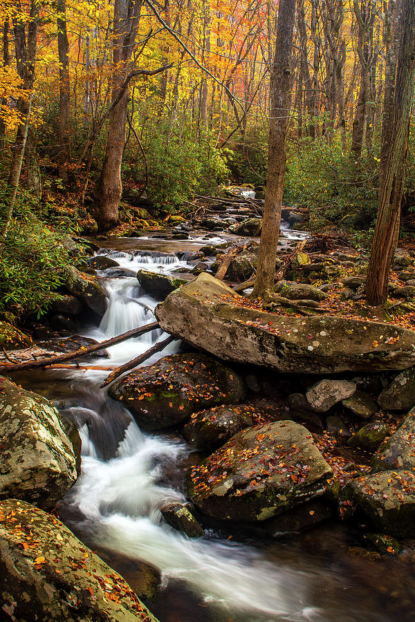 Autumn Stream #5 Photograph by Andrew Soundarajan