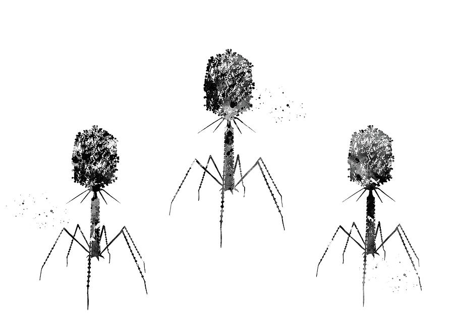 Bacteriophage #5 Digital Art by Erzebet S - Pixels