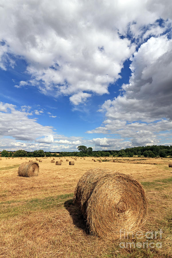 Bales of Hay in the English Countryside #10 Photograph by Julia Gavin