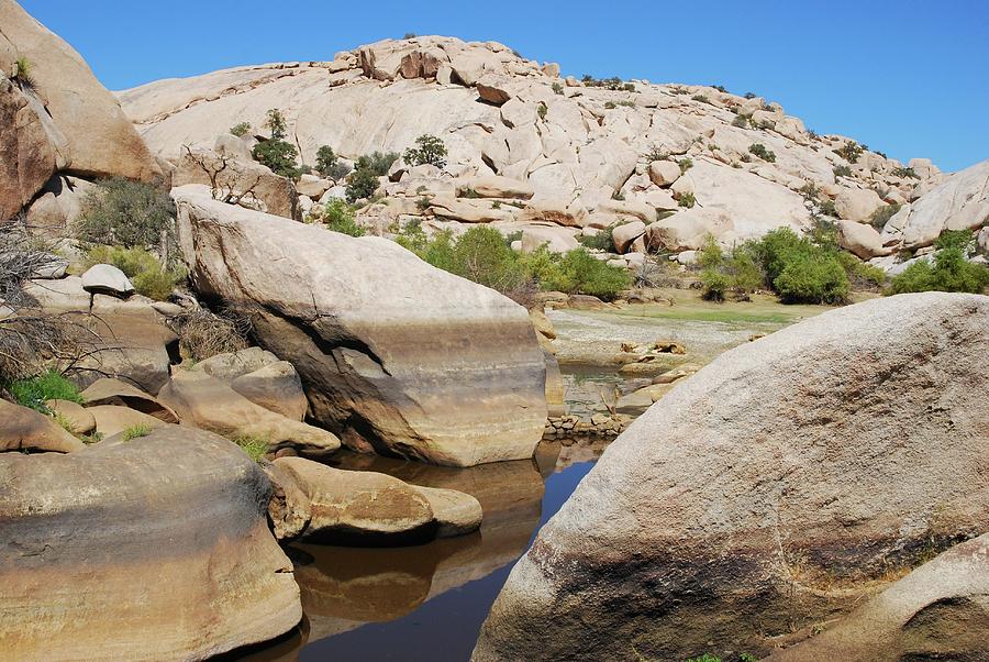 Barker Dam At Joshua Tree National Park Photograph by David A Lee