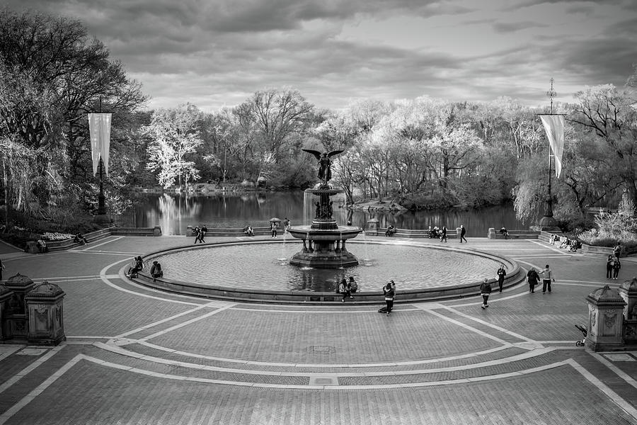 Bethesda Fountain Photograph