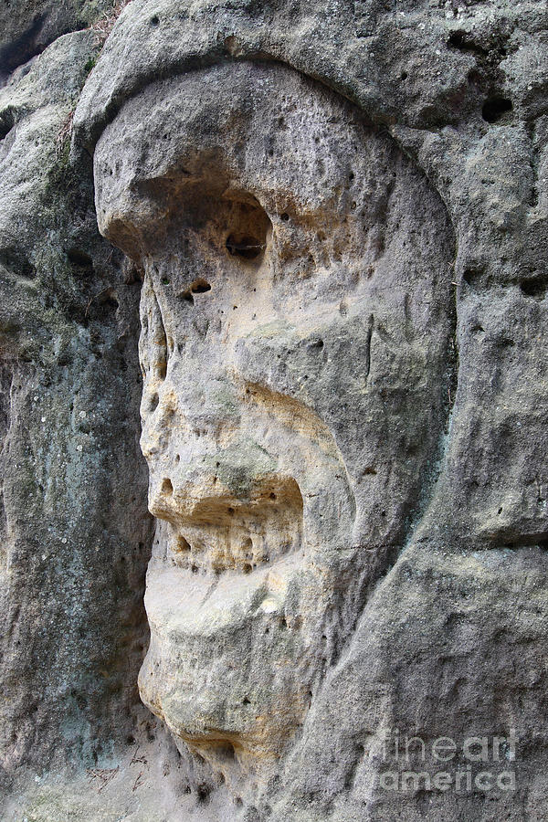 Bizarre Stone Heads - Rock Sculptures #5 Photograph by Michal Boubin