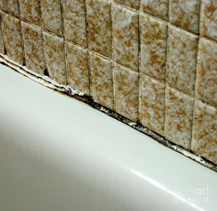 Black Mold On Bathtub Caulking #5 Photograph by Scimat