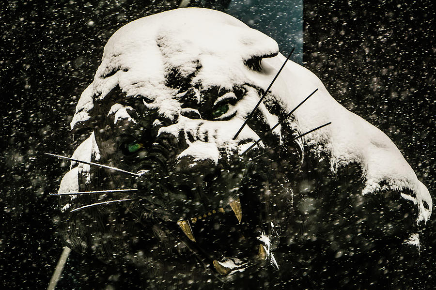 Black Panther Statue Seen Through Falling Snow Flakes #5 Photograph by Alex Grichenko
