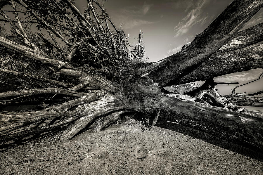 Black Rock Beach #5 Photograph by Peter Lakomy