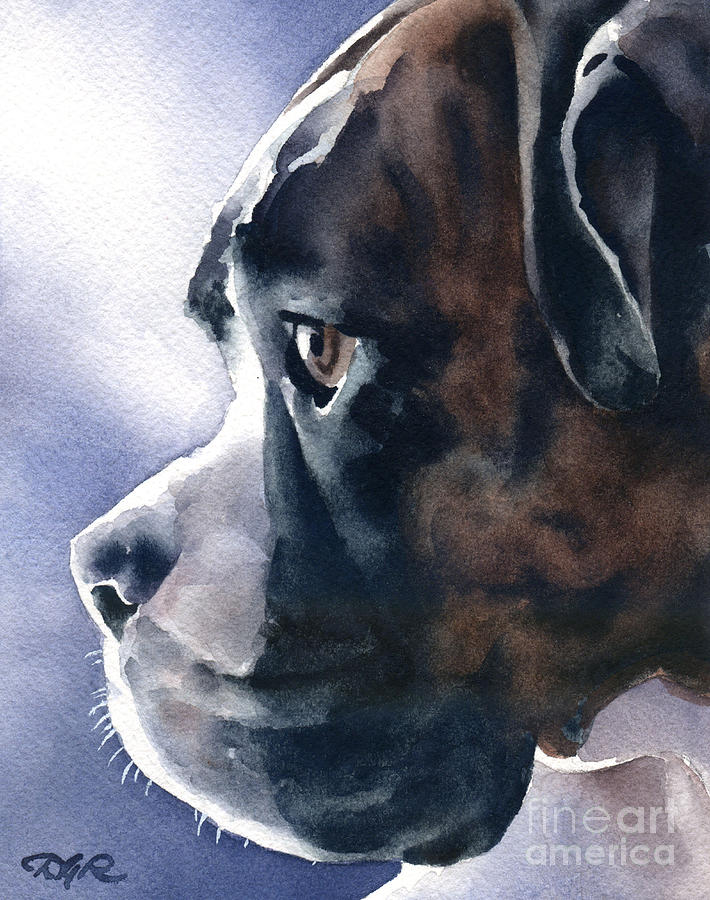 Dog Painting - Boxer #5 by David Rogers