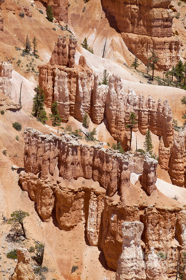Bryce Canyon - Utah #5 Photograph by Anthony Totah