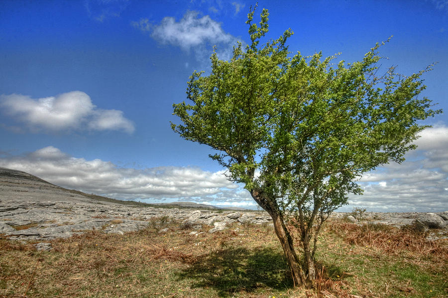 Burren Landscape #5 Photograph by John Quinn