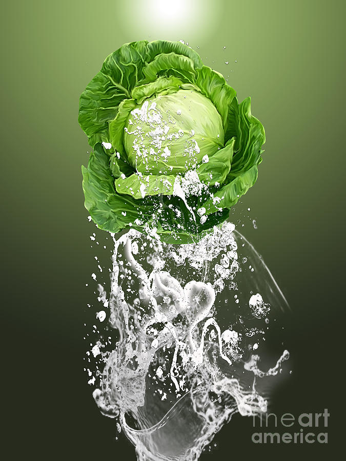 Home Mixed Media - Cabbage Splash #5 by Marvin Blaine