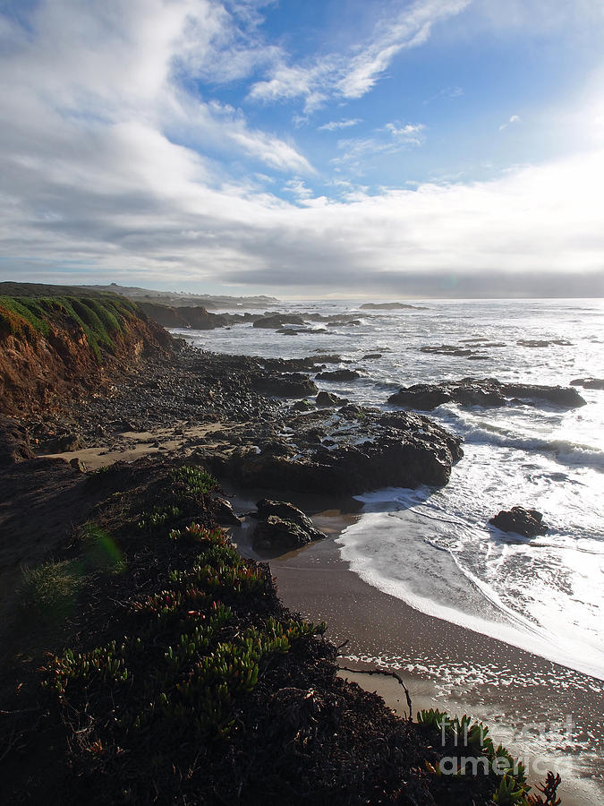 California Coast #5 Photograph by Jacklyn Duryea Fraizer