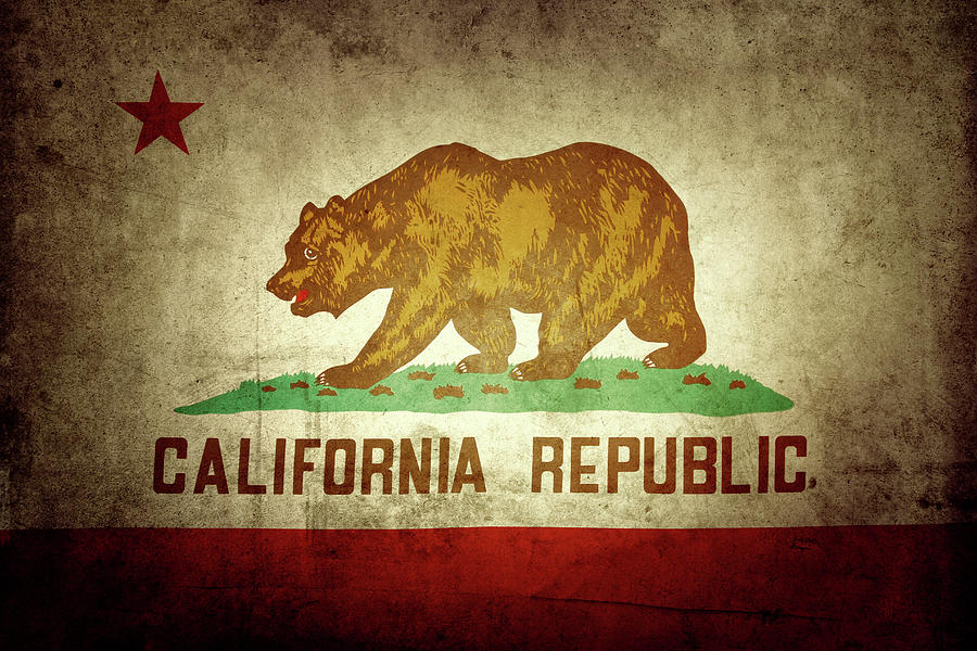 California flag #5 Photograph by Les Cunliffe
