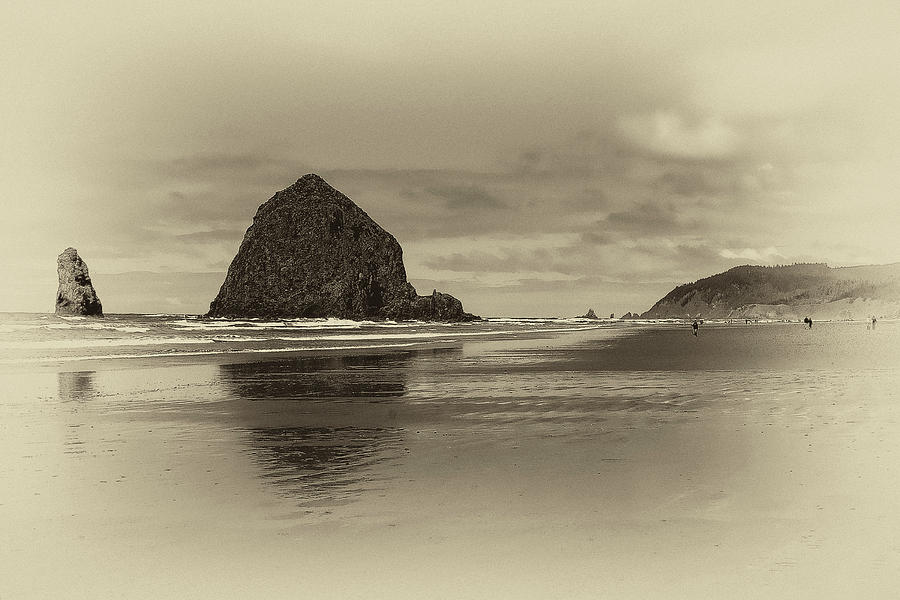 Cannon Beach #5 Photograph by David Patterson