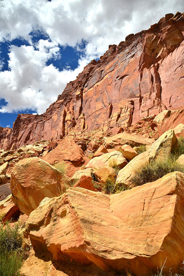 Capitol Reef #19 Photograph by Ray Mathis