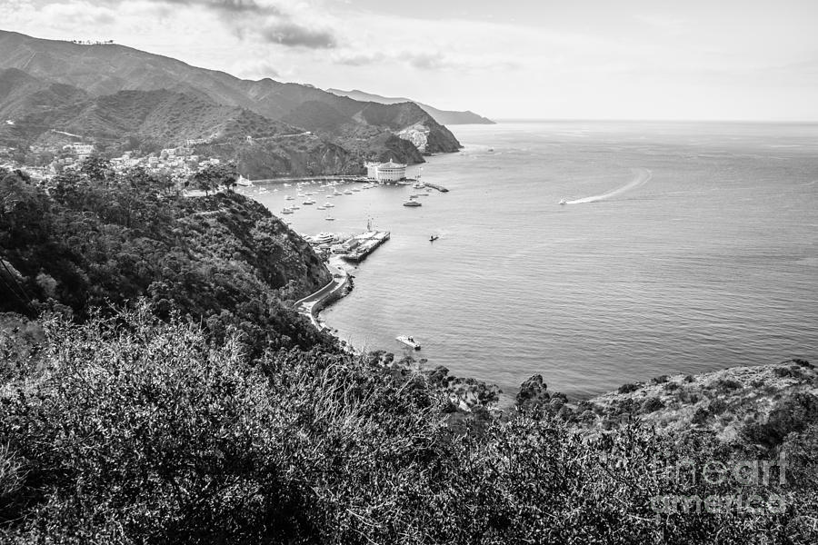 Catalina Island Avalon Bay Black And White Photo Photograph