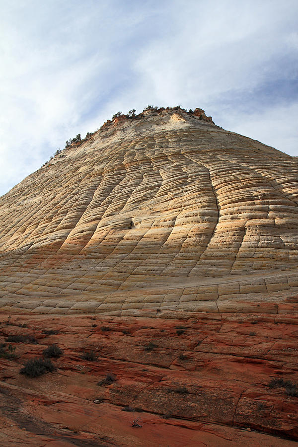 Checkerboard Mesa In Zion National Park Photograph By Pierre Leclerc Photography Pixels