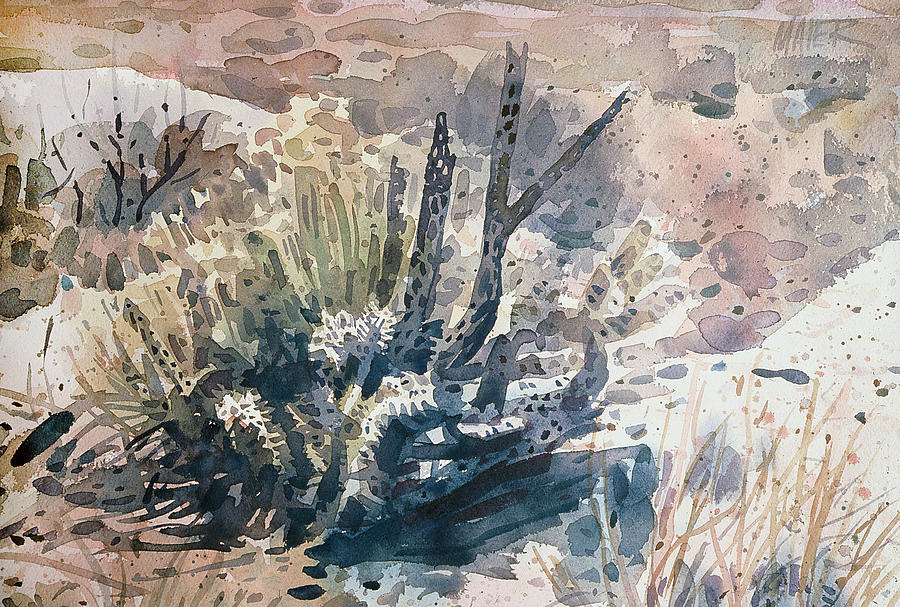 Cholla Painting - Cholla #5 by Donald Maier