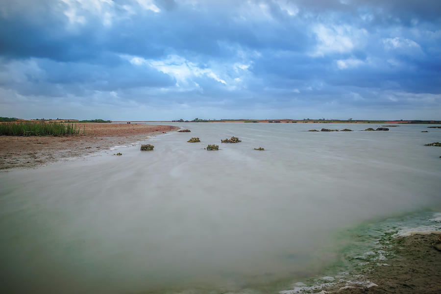 Coastal Landscape Near Padre Island Texas #5 Photograph by Alex Grichenko