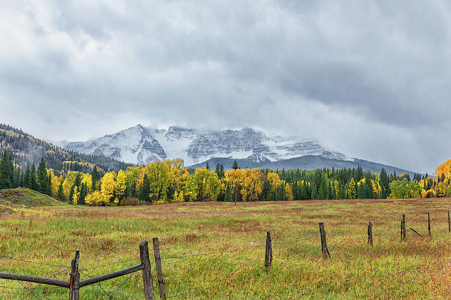 Colorado Fall Foliage #5 Photograph by Victor Culpepper