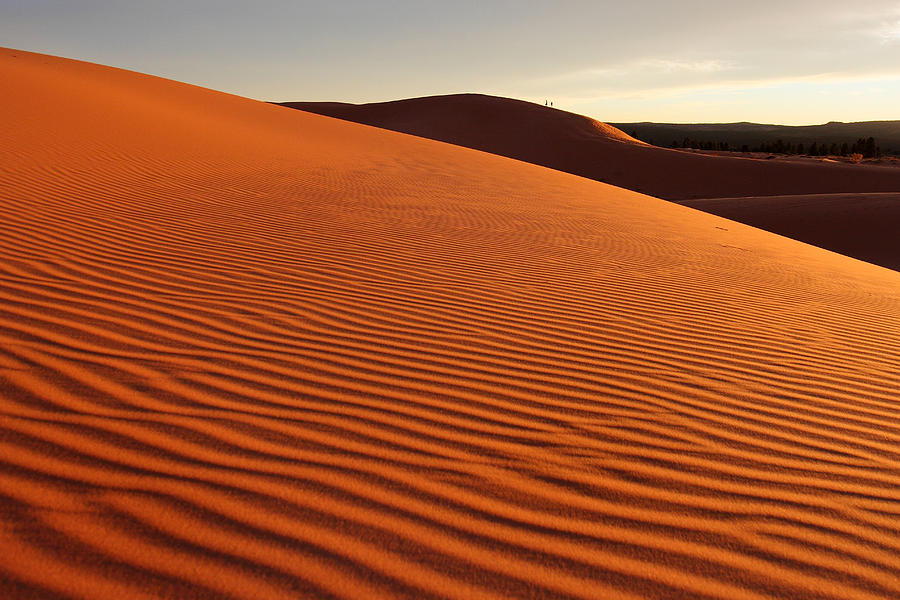 Coral Pink Sand dunes at sunset #5 Photograph by Pierre Leclerc Photography