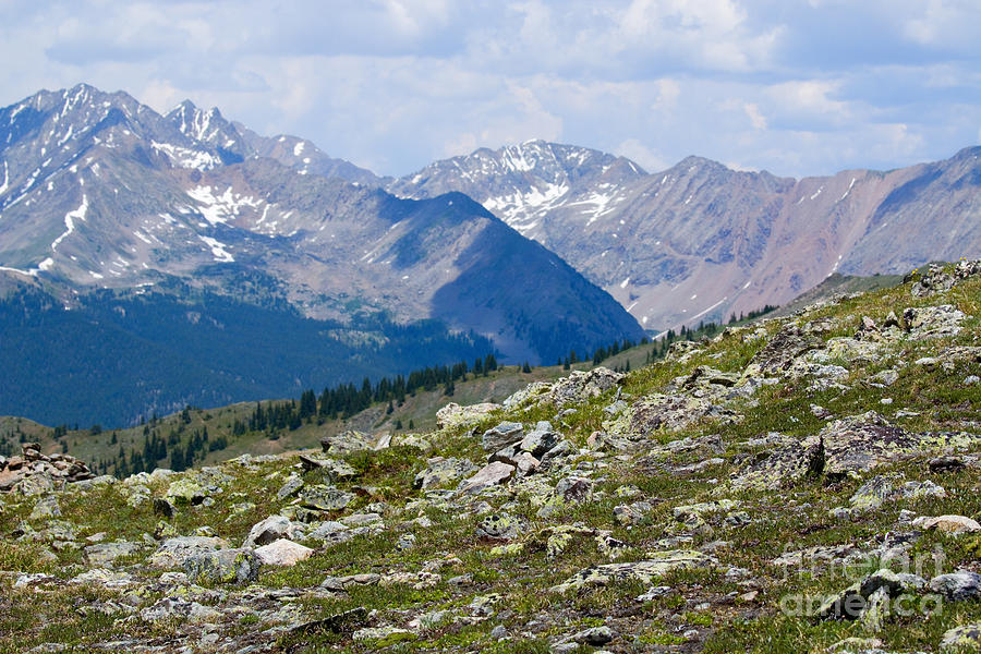 Cottonwood Pass Photograph by Steven Krull - Fine Art America