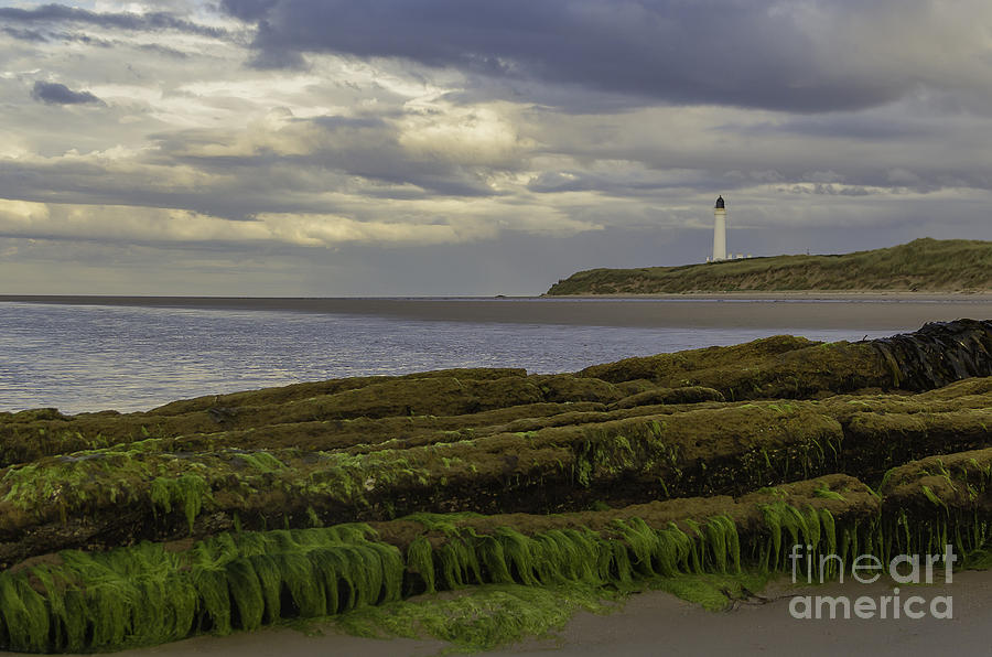 Covesea Lighthouse Photograph