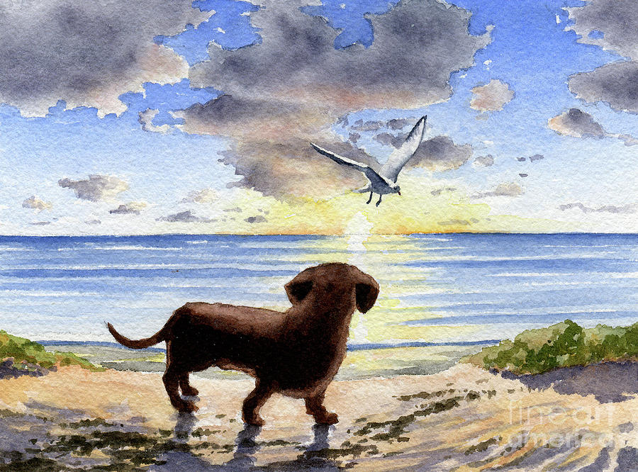 Sunset Painting - Dachshund at the Beach #4 by David Rogers