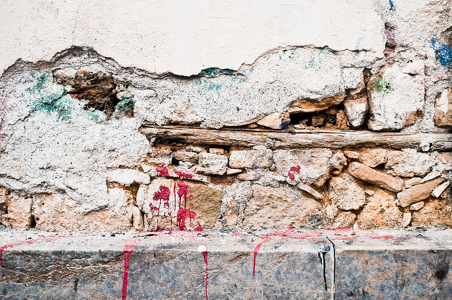 Damaged wall #5 Photograph by Tom Gowanlock