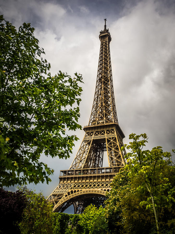 Eiffel Tower #5 Photograph by Mark Llewellyn