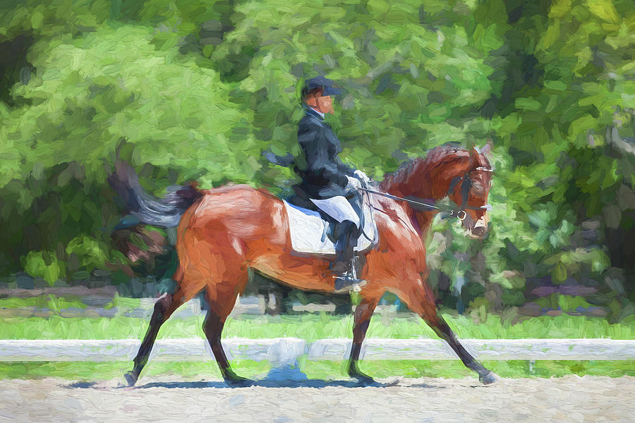 Equestrian Event Rocking Horse Stables Painted  #5 Photograph by Rich Franco