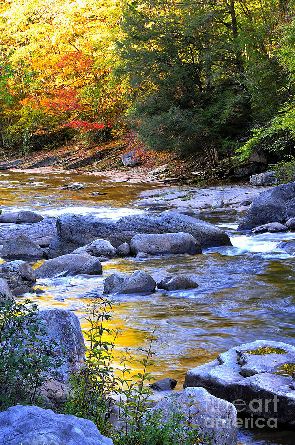 Fall Color Williams River #1 Photograph by Thomas R Fletcher